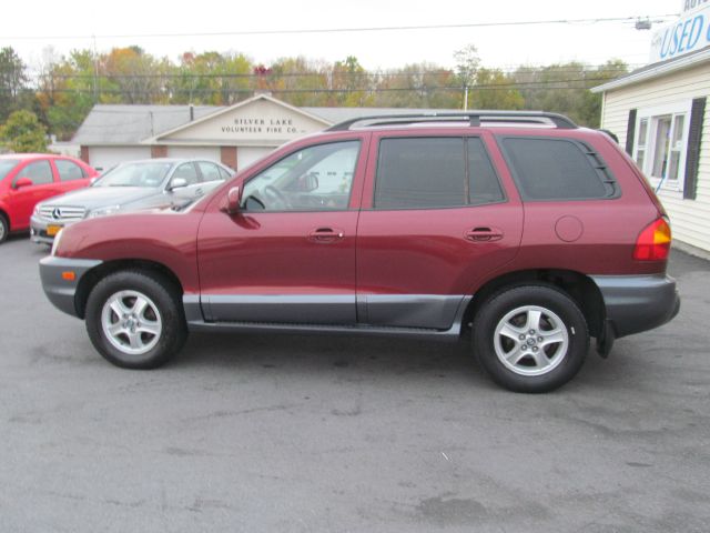 Hyundai Santa Fe 2004 photo 4