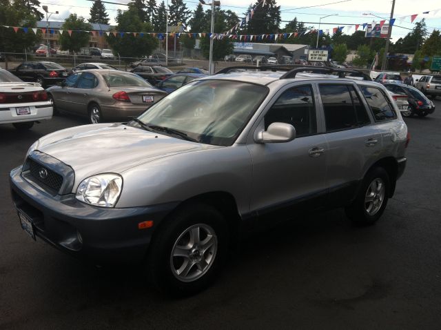 Hyundai Santa Fe 2004 photo 1