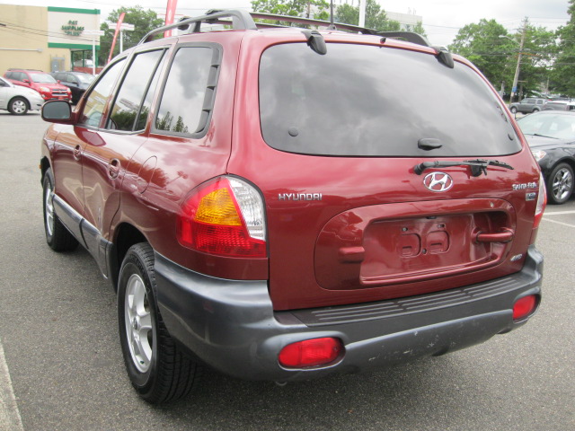 Hyundai Santa Fe 2004 photo 2