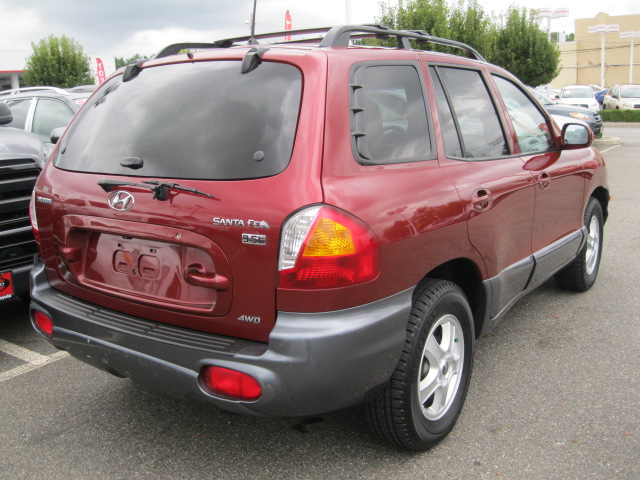 Hyundai Santa Fe 2004 photo 3