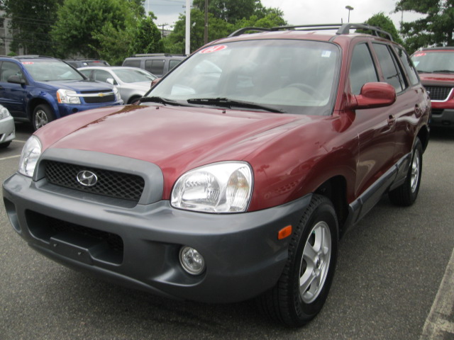 Hyundai Santa Fe 2004 photo 4