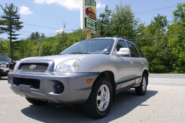 Hyundai Santa Fe 2004 photo 11