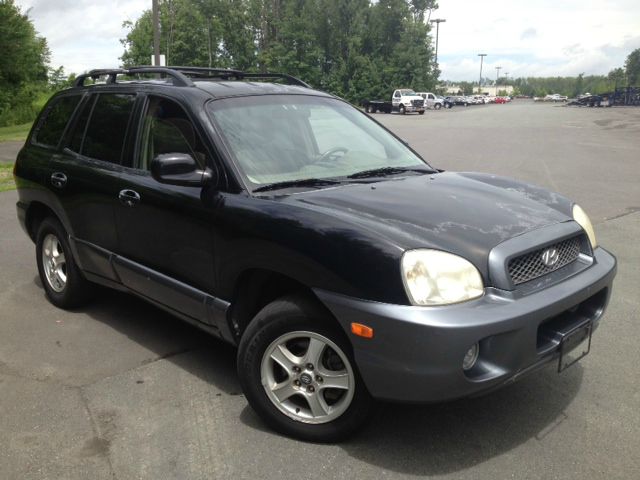 Hyundai Santa Fe 2004 photo 1