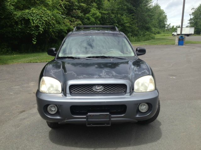 Hyundai Santa Fe 2004 photo 3