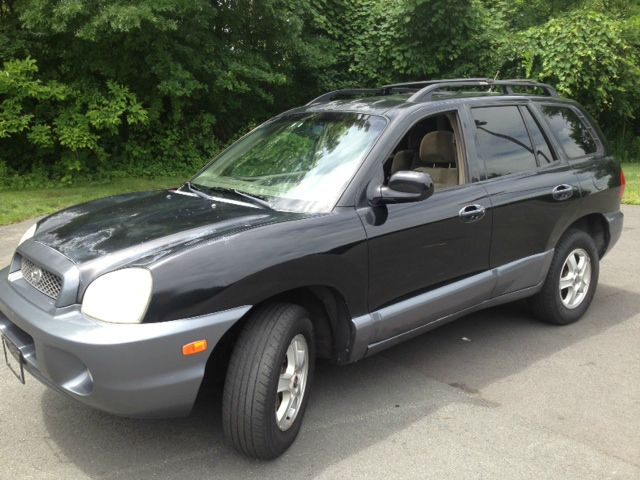 Hyundai Santa Fe 2004 photo 4