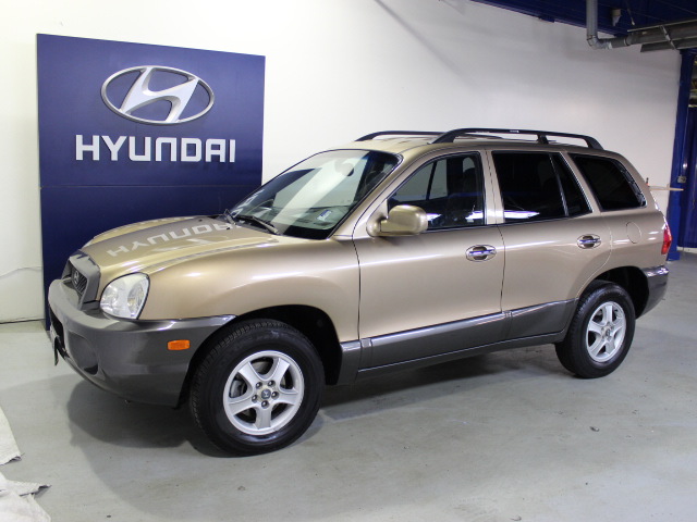 Hyundai Santa Fe 2004 photo 1