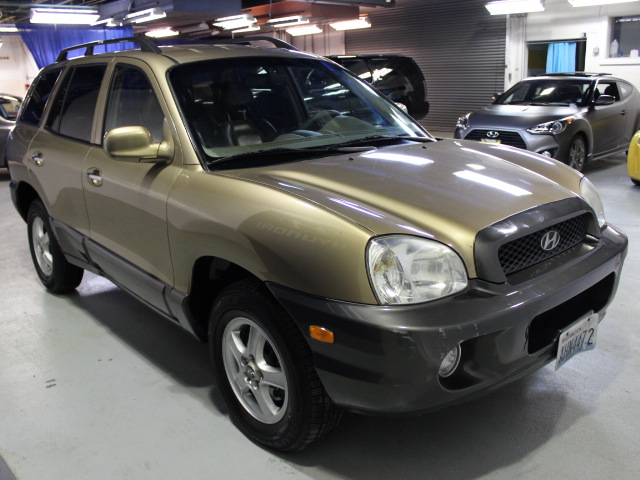 Hyundai Santa Fe 2004 photo 5