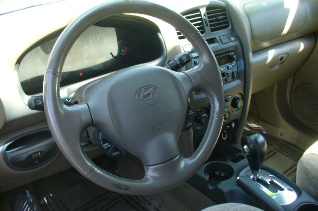 Hyundai Santa Fe 2004 photo 6