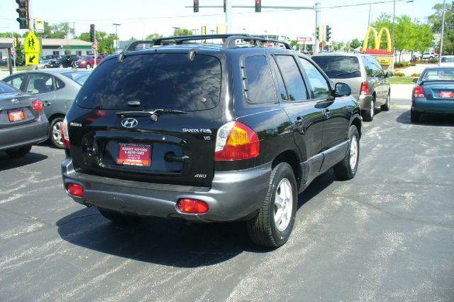 Hyundai Santa Fe 2004 photo 9