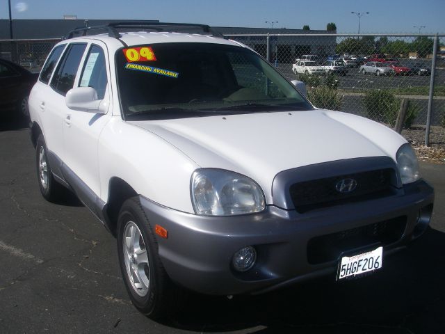 Hyundai Santa Fe 2004 photo 5