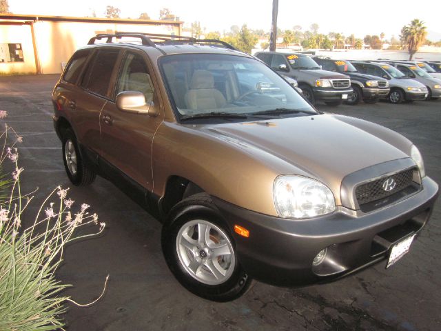 Hyundai Santa Fe 2004 photo 1