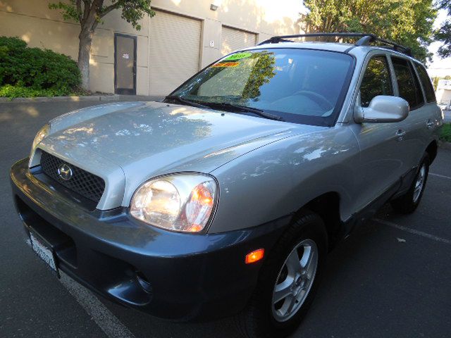 Hyundai Santa Fe 2004 photo 18