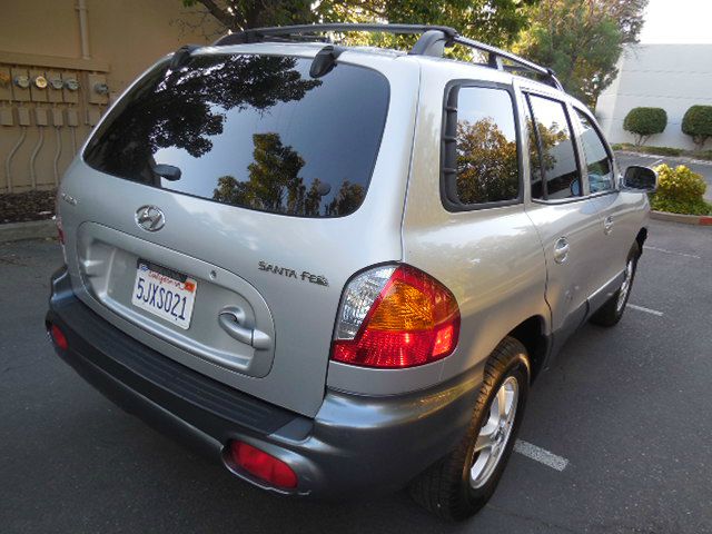 Hyundai Santa Fe 2004 photo 6