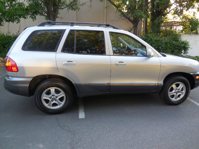 Hyundai Santa Fe 2004 photo 7