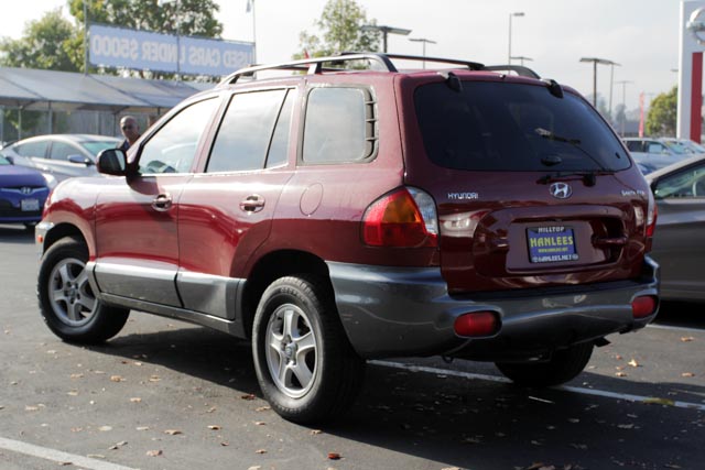 Hyundai Santa Fe 2004 photo 3