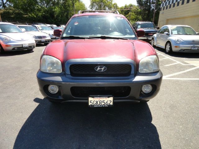 Hyundai Santa Fe 2004 photo 1