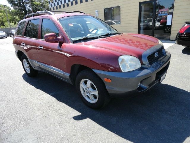 Hyundai Santa Fe 2004 photo 2