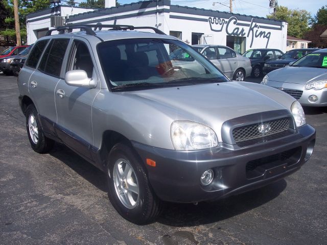 Hyundai Santa Fe 2004 photo 3