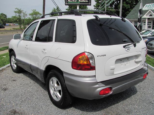 Hyundai Santa Fe 2004 photo 3