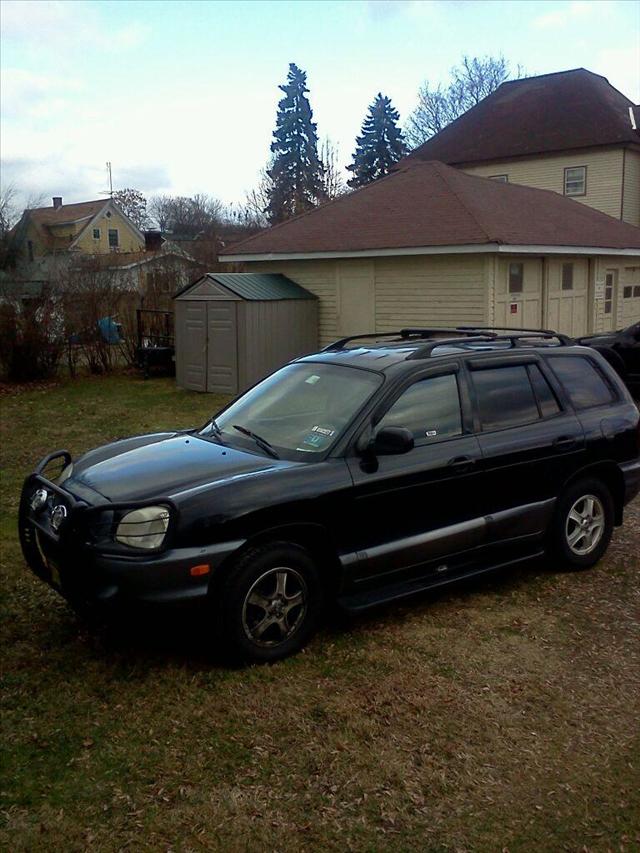 Hyundai Santa Fe 2004 photo 1