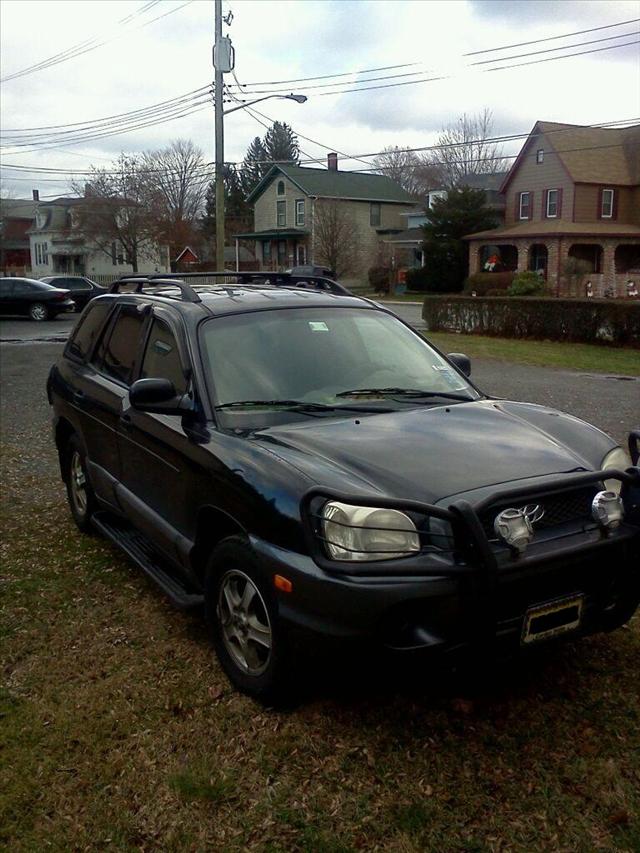 Hyundai Santa Fe 2004 photo 2