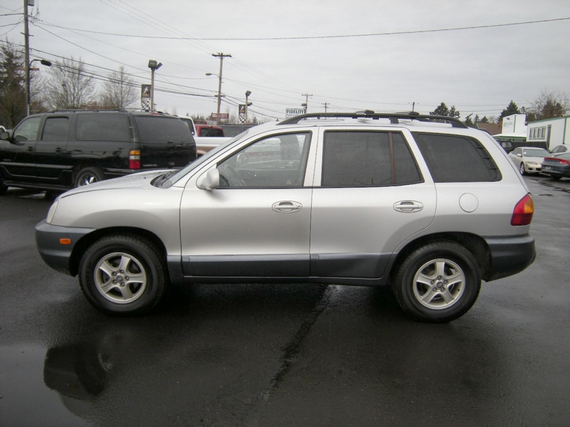 Hyundai Santa Fe 2004 photo 1