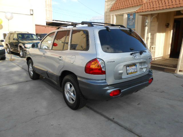 Hyundai Santa Fe 2004 photo 1