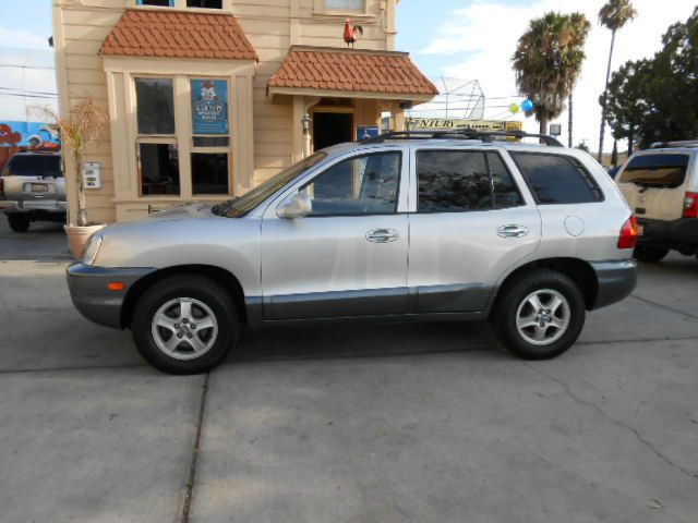 Hyundai Santa Fe 2004 photo 3