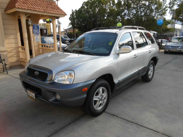 Hyundai Santa Fe 2004 photo 4