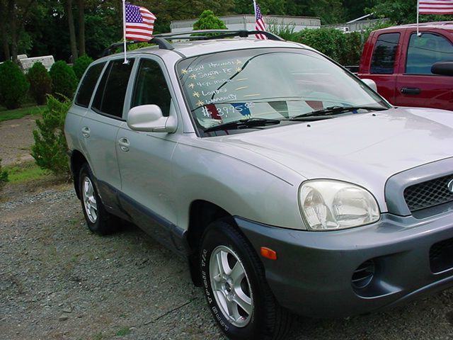 Hyundai Santa Fe 2004 photo 2