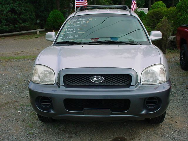 Hyundai Santa Fe 2004 photo 3