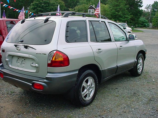 Hyundai Santa Fe 2004 photo 4