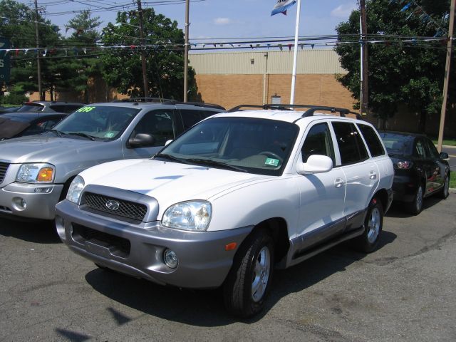 Hyundai Santa Fe 2004 photo 1