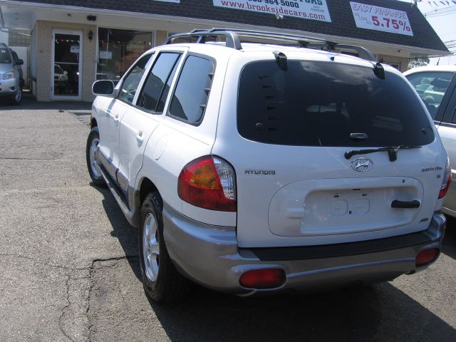 Hyundai Santa Fe 2004 photo 3