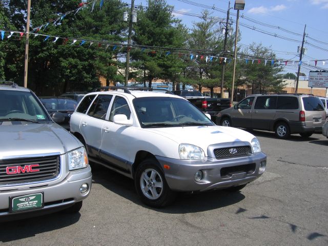 Hyundai Santa Fe 2004 photo 4