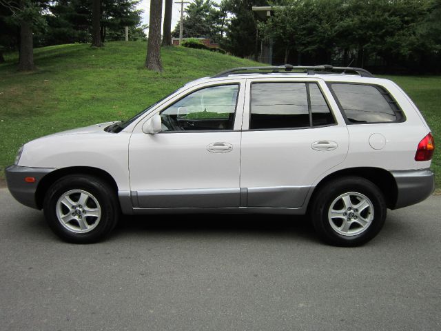 Hyundai Santa Fe 2004 photo 2