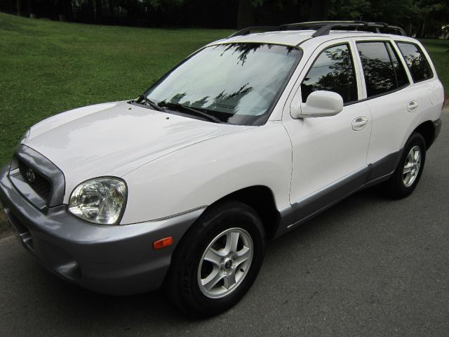 Hyundai Santa Fe 2004 photo 3