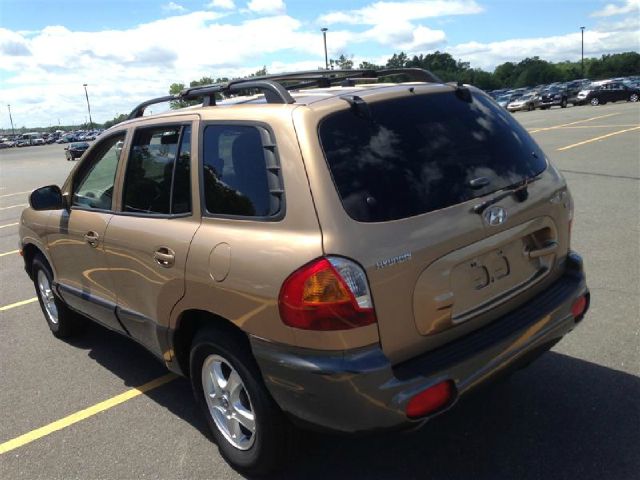 Hyundai Santa Fe 2004 photo 1