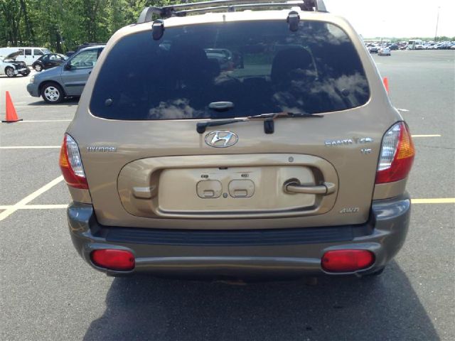 Hyundai Santa Fe 2004 photo 2