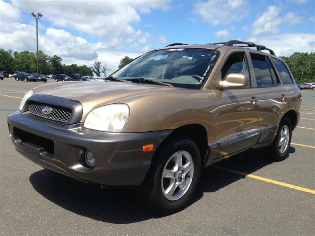 Hyundai Santa Fe 2004 photo 3