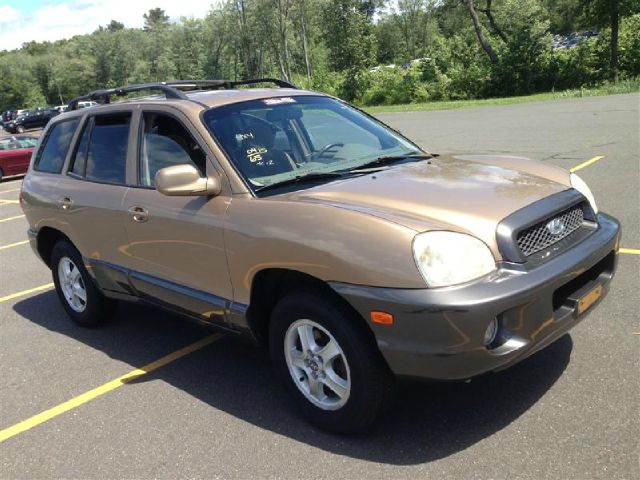 Hyundai Santa Fe 2004 photo 4