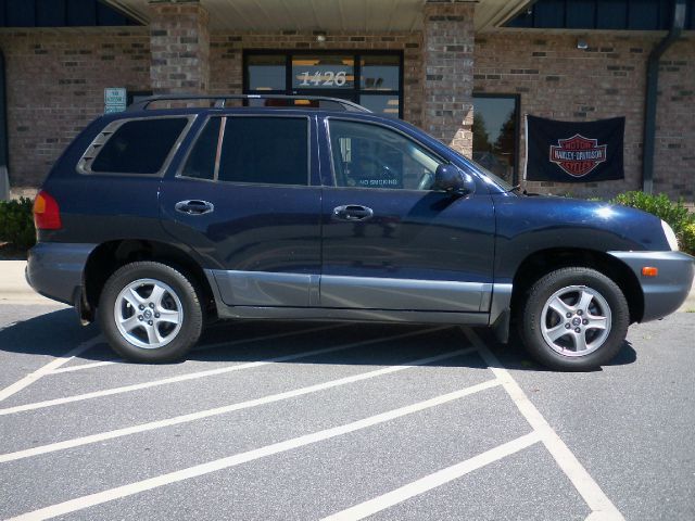 Hyundai Santa Fe 2004 photo 1