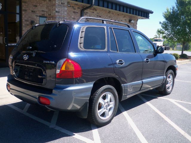 Hyundai Santa Fe 2004 photo 2