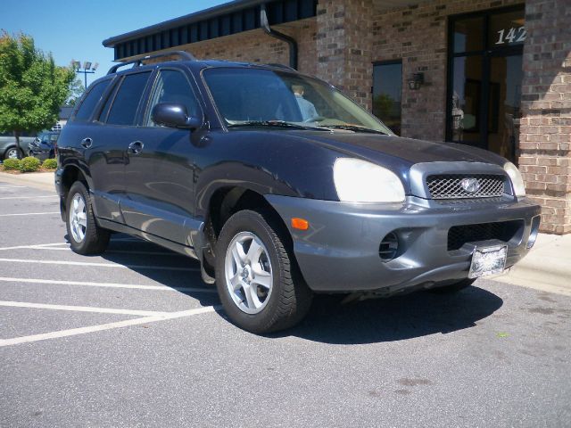 Hyundai Santa Fe 2004 photo 3