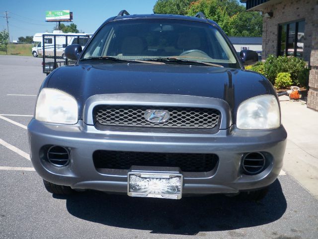 Hyundai Santa Fe 2004 photo 4