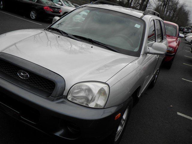 Hyundai Santa Fe 2004 photo 3