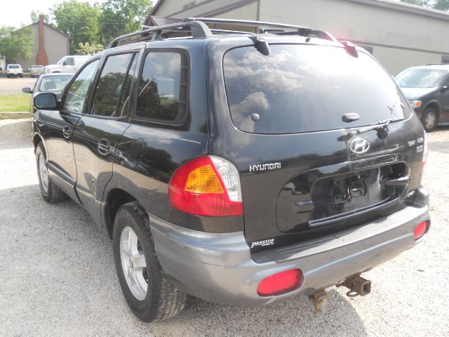 Hyundai Santa Fe 2004 photo 1