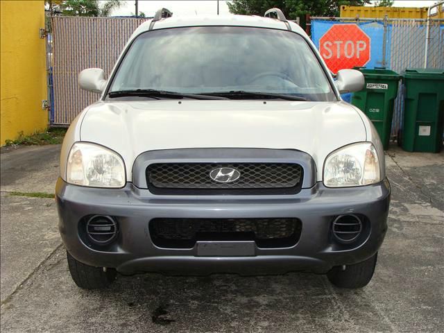 Hyundai Santa Fe 2004 photo 4