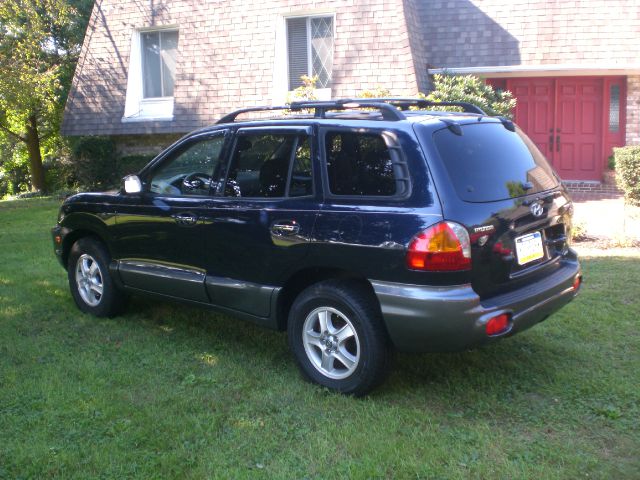 Hyundai Santa Fe 2004 photo 1