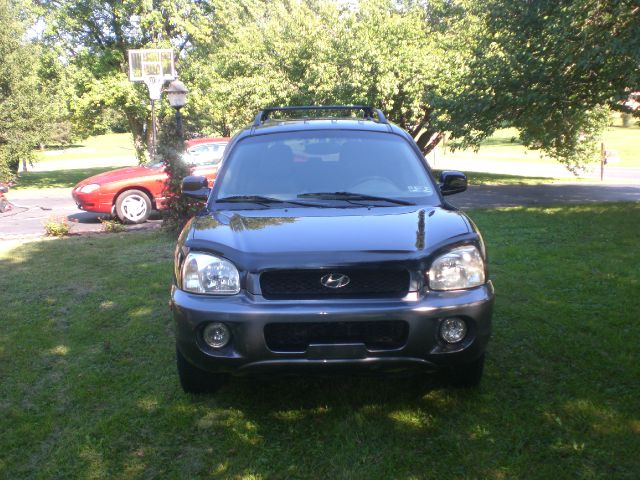 Hyundai Santa Fe 2004 photo 2